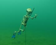 beim Boje-setzen verunglückt skelett.jpg